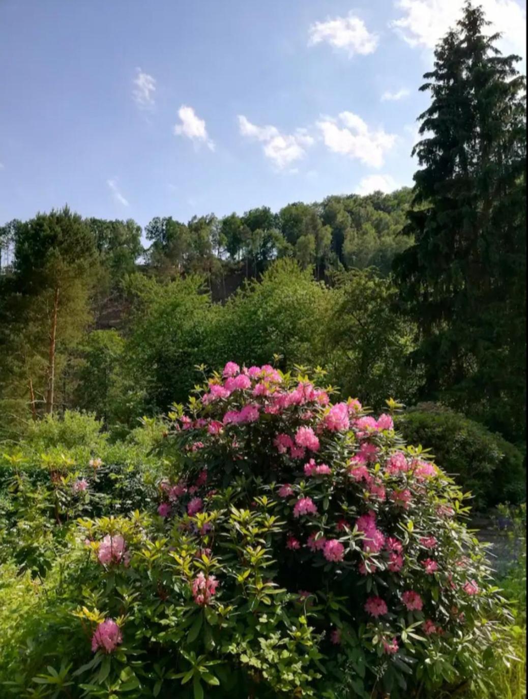 Ferienwohnung Fuer Naturfreunde Rathmannsdorf Экстерьер фото