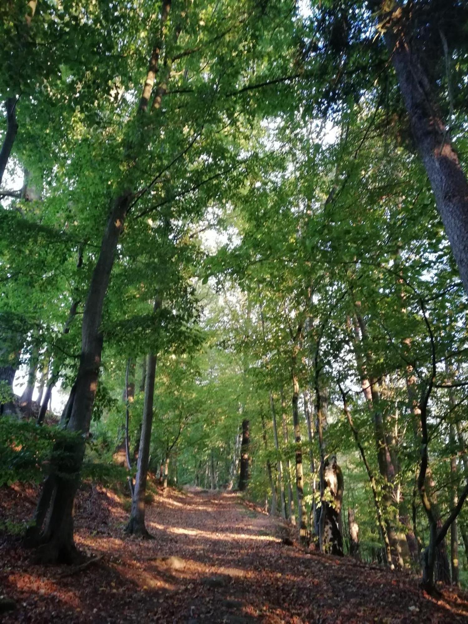 Ferienwohnung Fuer Naturfreunde Rathmannsdorf Экстерьер фото